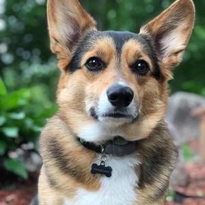 Meet your Posher, Brenna